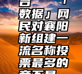 客满 人工投票平台   「数据」网民对襄阳新组建一流名称投票最多的竟不是“襄阳大学”