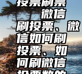 怎么查出投票刷票   微信刷投票、微信如何刷投票、如何刷微信投票数的技巧