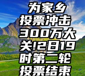  为家乡投票冲击300万大关!2日19时第二轮投票结束