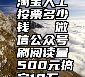 淘宝人工投票多少钱   微信公众号刷阅读量500元搞定10万