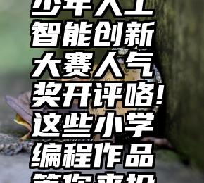  上海市青少年人工智能创新大赛人气奖开评咯!这些小学编程作品等你来投票!