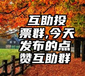  互助投票群,今天发布的点赞互助群