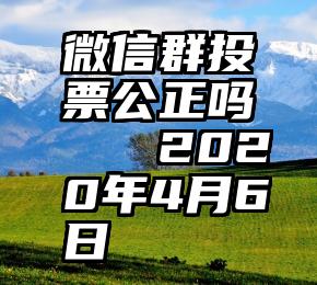 微信群投票公正吗   2020年4月6日