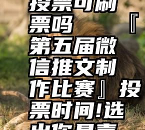 手机微信投票可刷票吗   『第五届微信推文制作比赛』投票时间!选出你最喜欢的作品