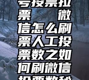 微信公众号投票拉票   微信怎么刷票人工投票数之如何刷微信投票数秘密