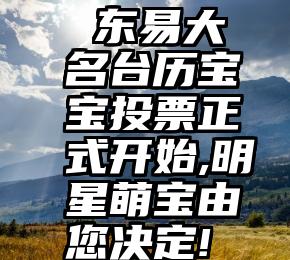  东易大名台历宝宝投票正式开始,明星萌宝由您决定!