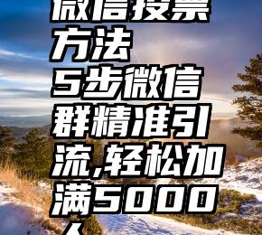 微信投票方法   5步微信群精准引流,轻松加满5000人