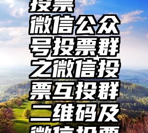 网络活动投票   微信公众号投票群之微信投票互投群二维码及微信投票互投群