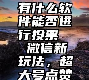 有什么软件能否进行投票   微信新玩法，超大号点赞