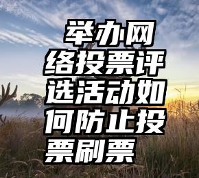  举办网络投票评选活动如何防止投票刷票