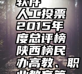 投票管理软件   人工投票2015年度总评榜陕西榜民办高教、职业教育篇评选