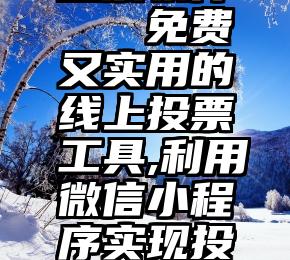 微信真人投票软件   免费又实用的线上投票工具,利用微信小程序实现投票活动的制作