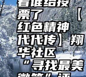 微信怎么看谁给投票了   【红色精神代代传】翔华社区“寻找最美微笑”评选