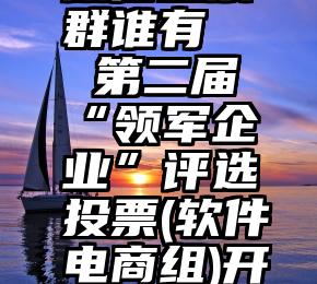 微信投票群谁有   第二届“领军企业”评选投票(软件电商组)开始啦!