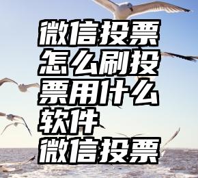 微信投票怎么刷投票用什么软件   微信投票