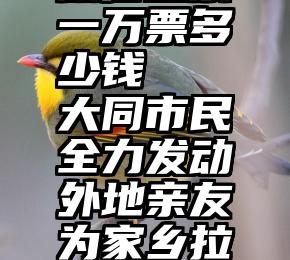 微信投票一万票多少钱   大同市民全力发动外地亲友为家乡拉票