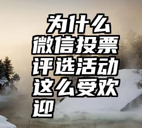  为什么微信投票评选活动这么受欢迎