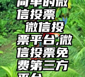 简单的微信投票   微信投票平台,微信投票免费第三方平台