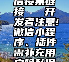 怎么在微信投票链接   开发者注意!微信小程序、插件需补充用户隐私保护指引