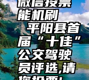 微信投票能机刷   平阳县首届“十佳”公交驾驶员评选,请您投票!