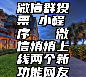 微信群投票 小程序   微信悄悄上线两个新功能网友