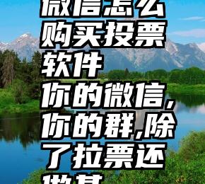 微信怎么购买投票软件   你的微信,你的群,除了拉票还做甚