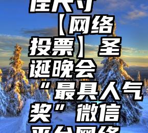 微信投票里上传最佳尺寸   【网络投票】圣诞晚会“最具人气奖”微信平台网络评选(第一轮)