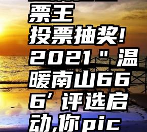 微刷信投票王   投票抽奖!2021＂温暖南山666″评选启动,你pick谁