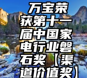  万宝荣获第十一届中国家电行业磐石奖【渠道价值奖】