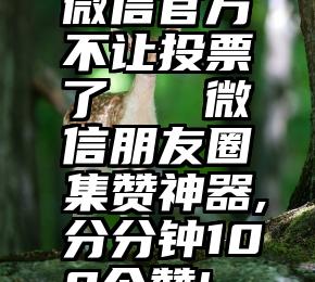 微信官方不让投票了   微信朋友圈集赞神器,分分钟100个赞!