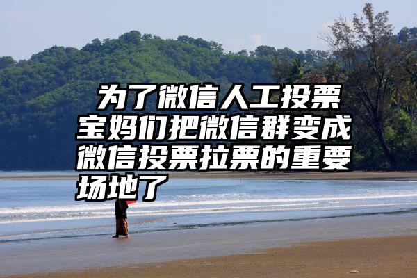  为了微信人工投票宝妈们把微信群变成微信投票拉票的重要场地了