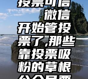 网上微信投票可信   微信开始管投票了,那些靠投票吸粉的草根公众号要怎么生存