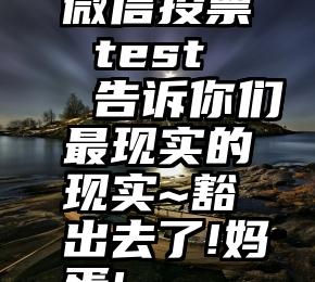 微信投票 test   告诉你们最现实的现实~豁出去了!妈蛋!