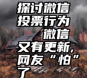 探讨微信投票行为   微信又有更新,网友“怕”了