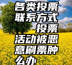 各类投票联系方式   投票活动被恶意刷票肿么办