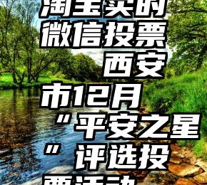 淘宝卖的微信投票   西安市12月“平安之星”评选投票活动