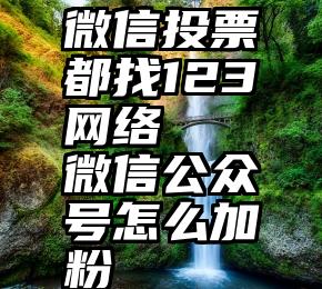 微信投票都找123网络   微信公众号怎么加粉