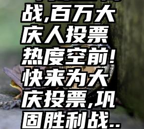  为家乡而战,百万大庆人投票热度空前!快来为大庆投票,巩固胜利战...