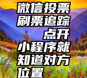 微信投票刷票追踪   点开小程序就知道对方位置