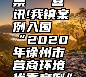 翼火蛇 人工微信刷票   喜讯!我镇案例入围“2020年徐州市营商环境优秀案例”评选!快来投33号!