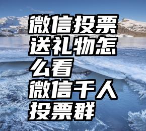 微信投票送礼物怎么看   微信千人投票群