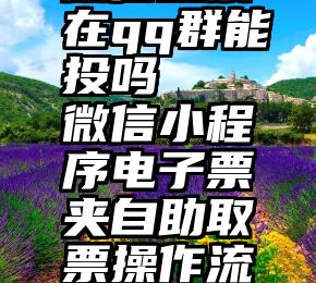 微信投票在qq群能投吗   微信小程序电子票夹自助取票操作流程介绍