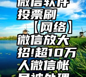 微信软件投票刷   【网络】微信放大招!超10万人微信帐号被处理