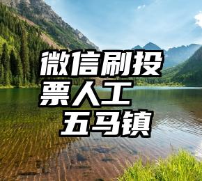 微信刷投票人工   五马镇