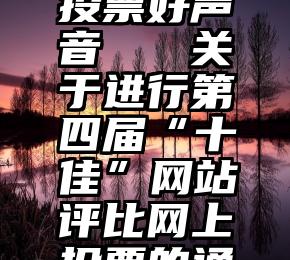 怎么微信投票好声音   关于进行第四届“十佳”网站评比网上投票的通知