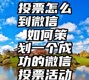 投票怎么到微信   如何策划一个成功的微信投票活动