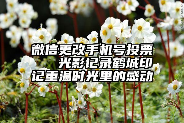 微信更改手机号投票   光影记录鹤城印记重温时光里的感动