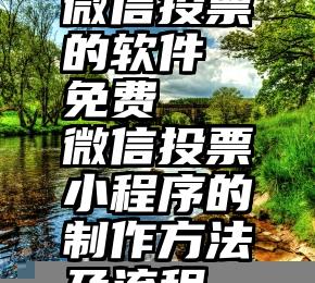 微信投票的软件 免费   微信投票小程序的制作方法及流程