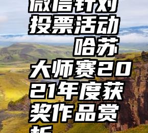 微信针对投票活动   哈苏大师赛2021年度获奖作品赏析