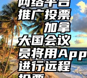 网络平台推广投票   加拿大国会议员将用App进行远程投票